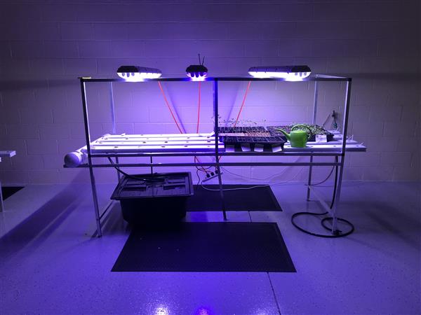 Hydroponic System